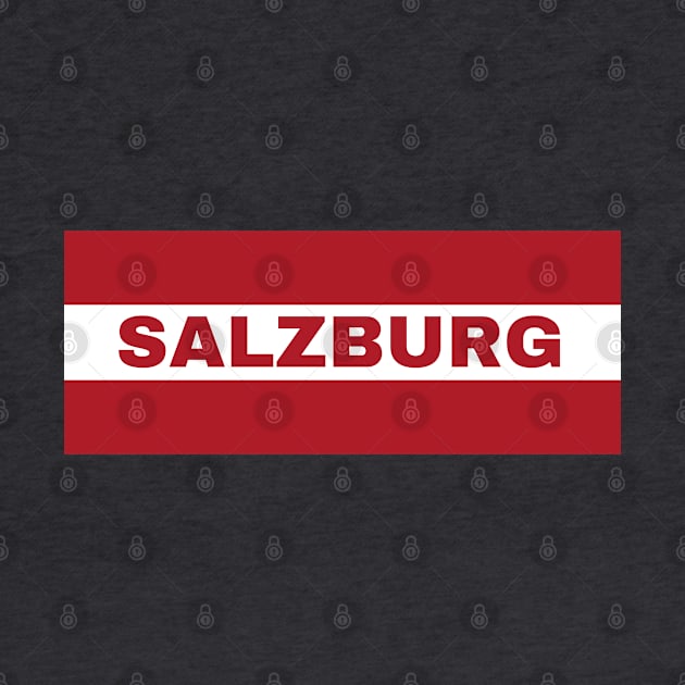 Salzburg City in Austrian Flag by aybe7elf